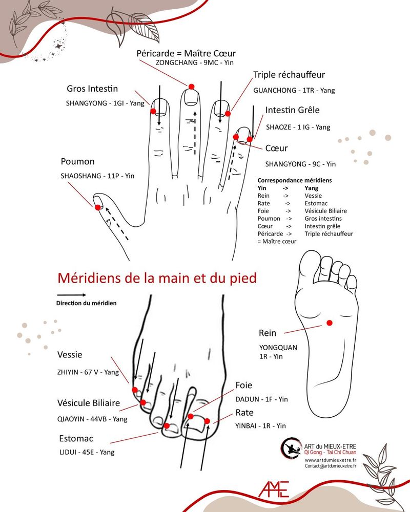 Méridiens de la main et du pied
